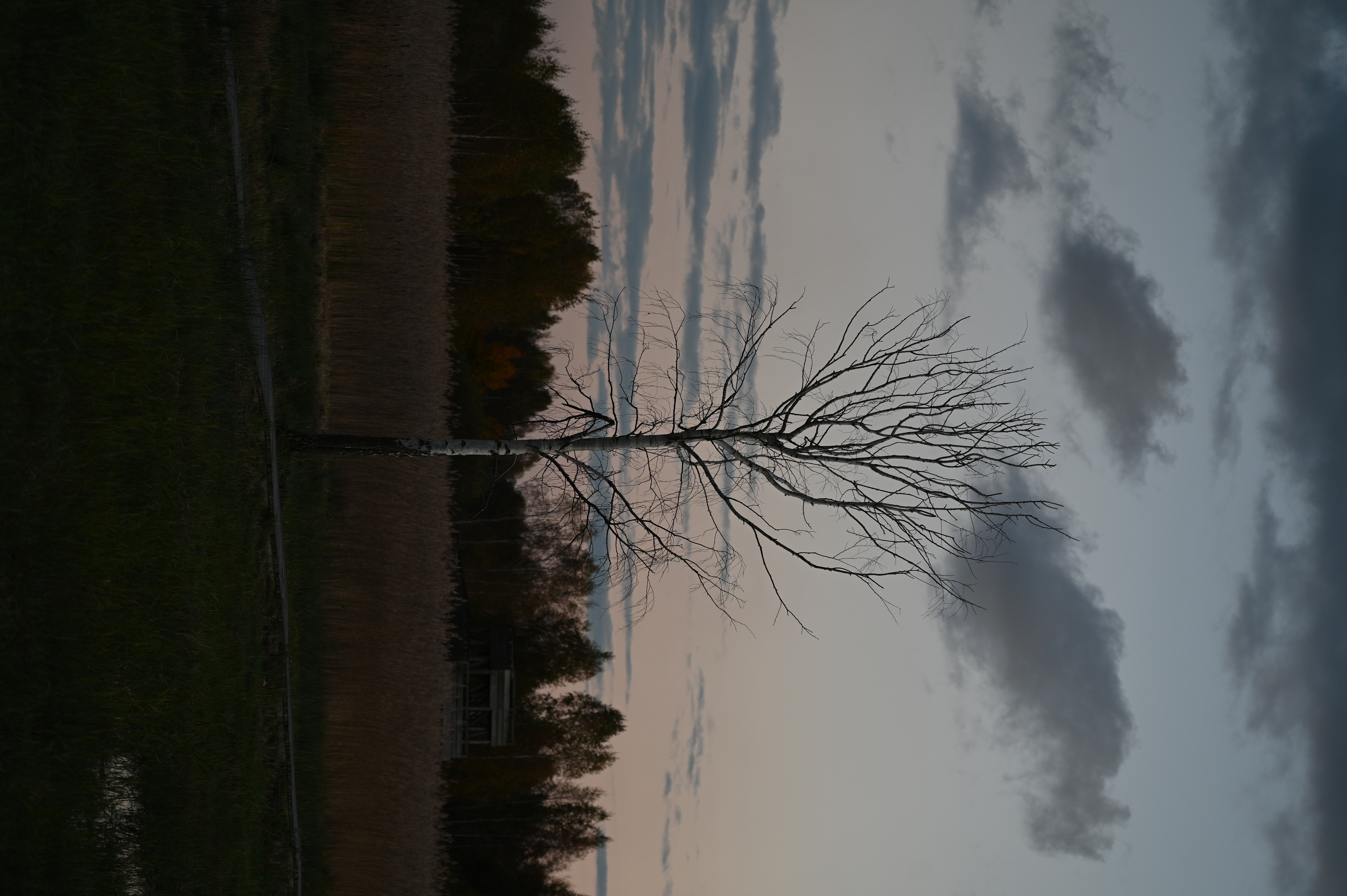 2025/10/18 - walk/DSC_0570.JPG